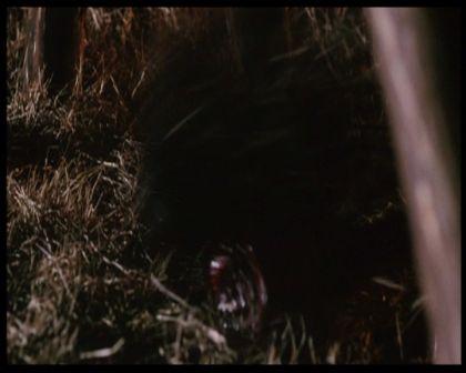 PDVD_1265.jpg