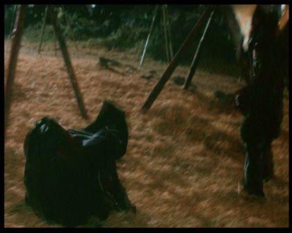 PDVD_1288.jpg