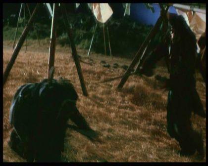 PDVD_1289.jpg