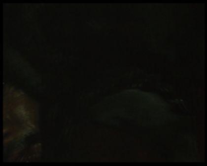 PDVD_1302.jpg