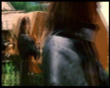 PDVD_1389.jpg