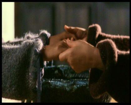 PDVD_1619.jpg