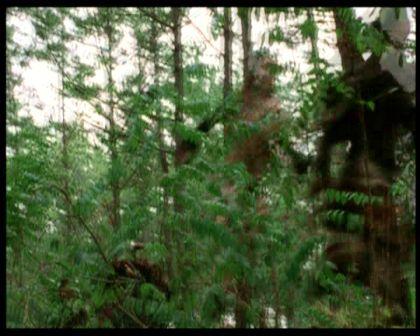 PDVD_214.jpg
