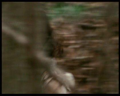 PDVD_2164.jpg