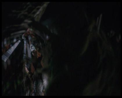 PDVD_2309.jpg