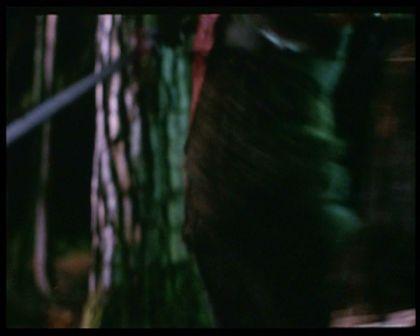 PDVD_2322.jpg