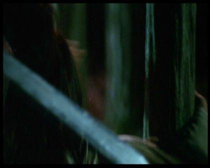 PDVD_2325.jpg