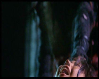 PDVD_2330.jpg