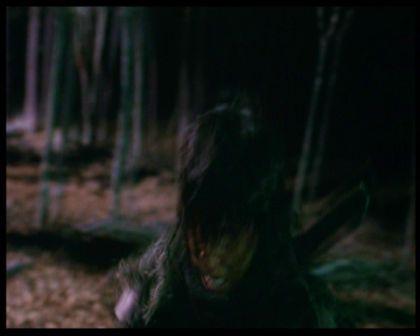 PDVD_2334.jpg