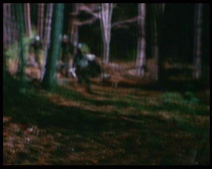 PDVD_2339.jpg