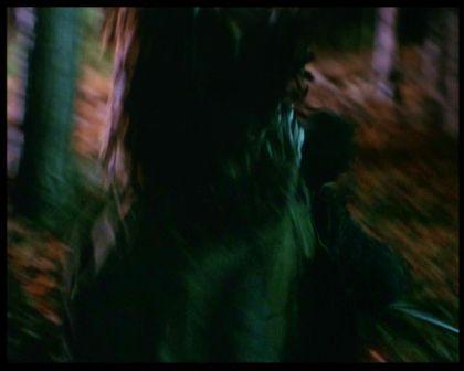 PDVD_2343.jpg