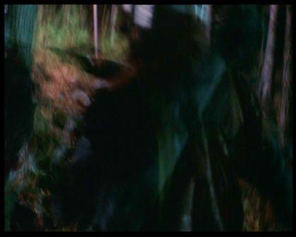 PDVD_2354.jpg