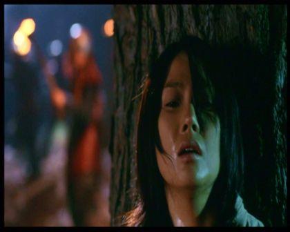 PDVD_2365.jpg