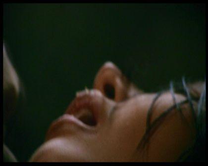 PDVD_2445.jpg