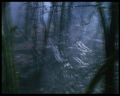 PDVD_2448.jpg