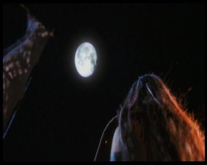 PDVD_2574.jpg