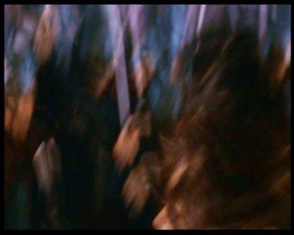 PDVD_2711.jpg