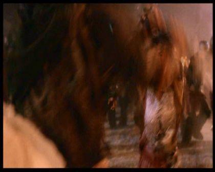PDVD_2730.jpg