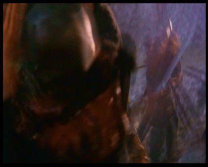 PDVD_2780.jpg