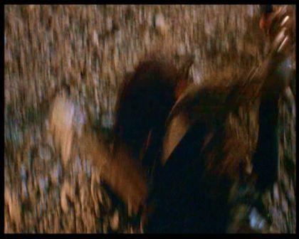 PDVD_2792.jpg