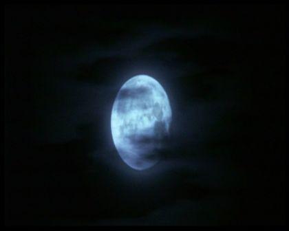 PDVD_2838.jpg