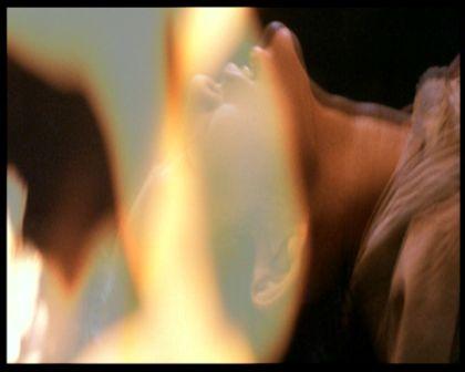 PDVD_2881.jpg