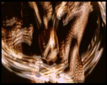PDVD_2892.jpg