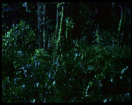 PDVD_3023.jpg