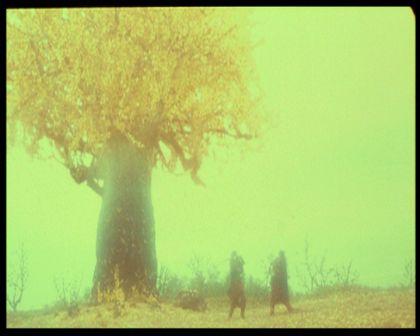 PDVD_3079.jpg