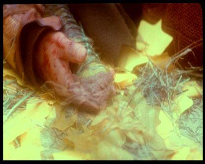 PDVD_3143.jpg