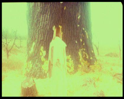 PDVD_3185.jpg