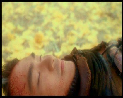 PDVD_3201.jpg