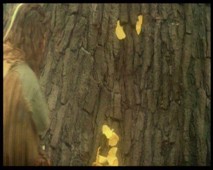 PDVD_3208.jpg