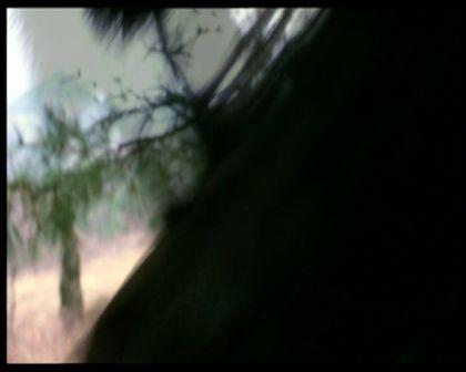 PDVD_323.jpg