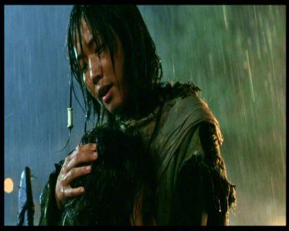 PDVD_397.jpg