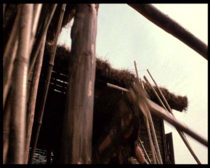 PDVD_444.jpg