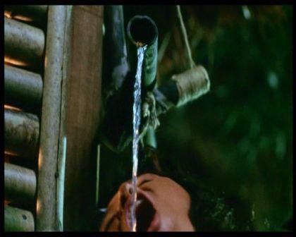 PDVD_482.jpg