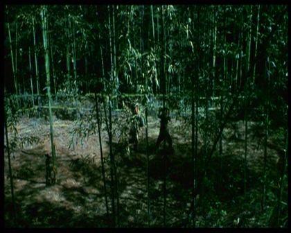 PDVD_549.jpg