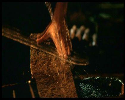 PDVD_555.jpg