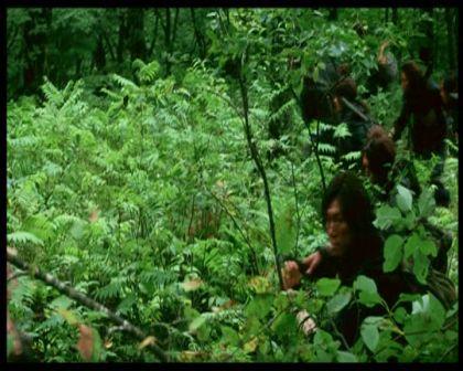 PDVD_829.jpg