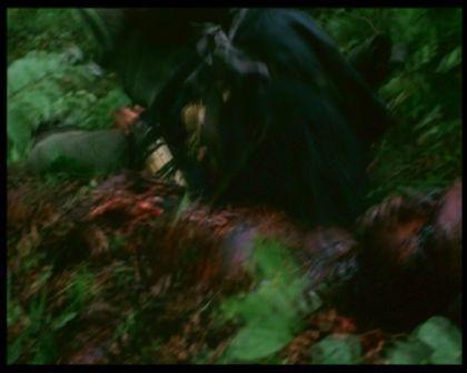 PDVD_831.jpg