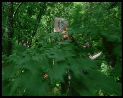 PDVD_850.jpg