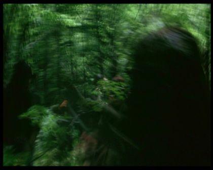 PDVD_853.jpg