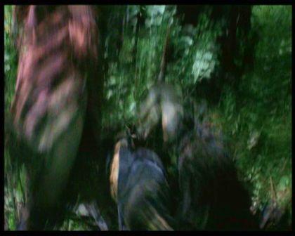PDVD_860.jpg
