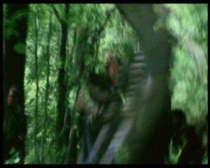PDVD_861.jpg