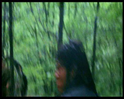 PDVD_865.jpg