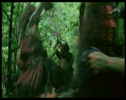 PDVD_873.jpg