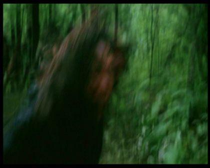 PDVD_884.jpg