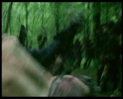PDVD_885.jpg
