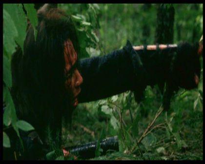 PDVD_894.jpg